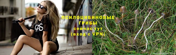 ECSTASY Балахна